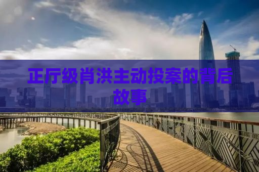 正厅级肖洪主动投案的背后故事