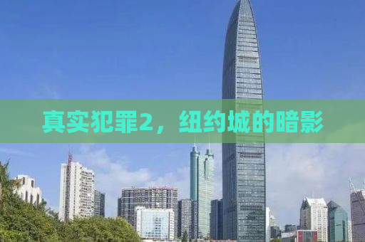 真实犯罪2，纽约城的暗影