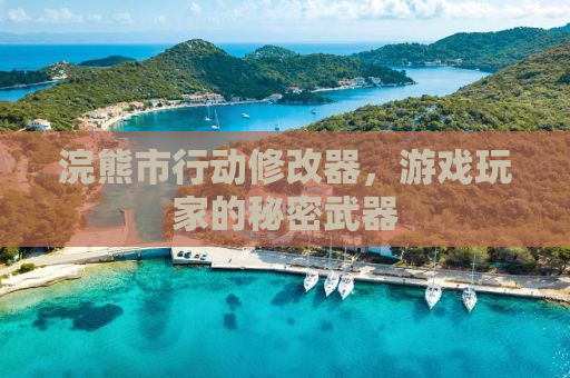 浣熊市行动修改器，游戏玩家的秘密武器